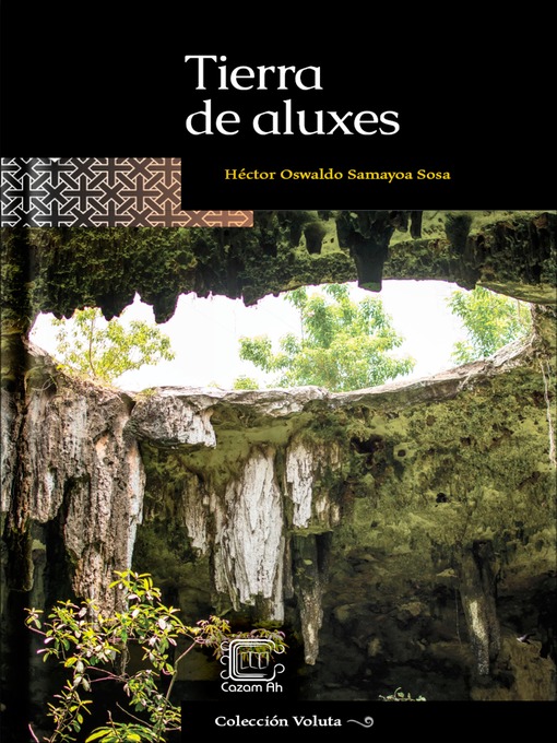 Cover image for Tierra de aluxes